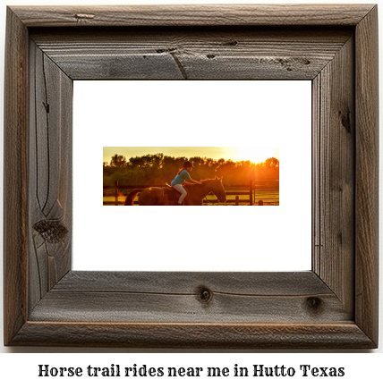 horse trail rides near me in Hutto, Texas